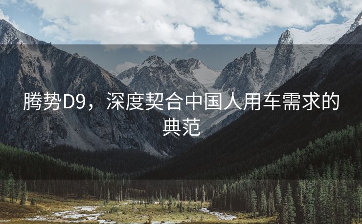 腾势D9，深度契合中国人用车需求的典范