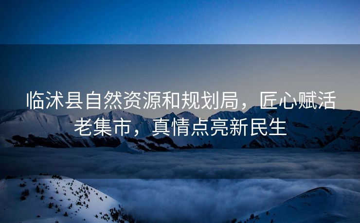 临沭县自然资源和规划局，匠心赋活老集市，真情点亮新民生