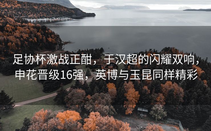 足协杯激战正酣，于汉超的闪耀双响，申花晋级16强，英博与玉昆同样精彩