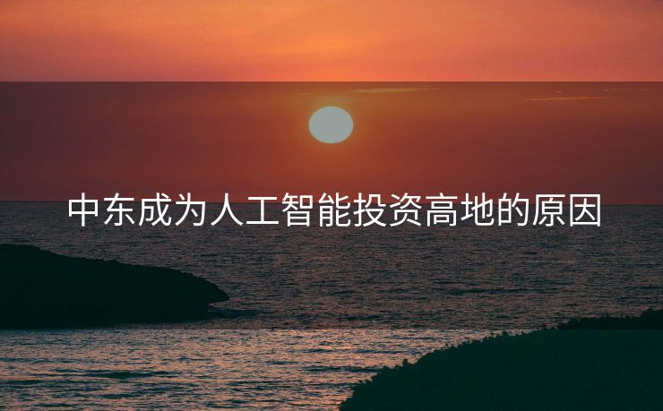 中东成为人工智能投资高地的原因