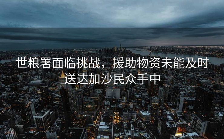 世粮署面临挑战，援助物资未能及时送达加沙民众手中