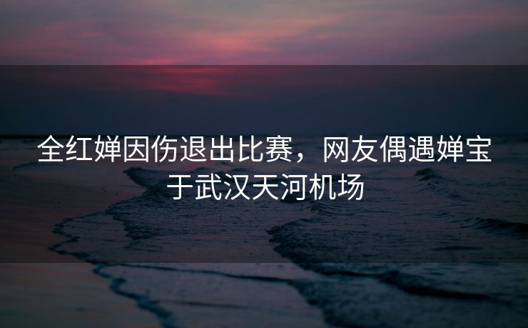 全红婵因伤退出比赛，网友偶遇婵宝于武汉天河机场