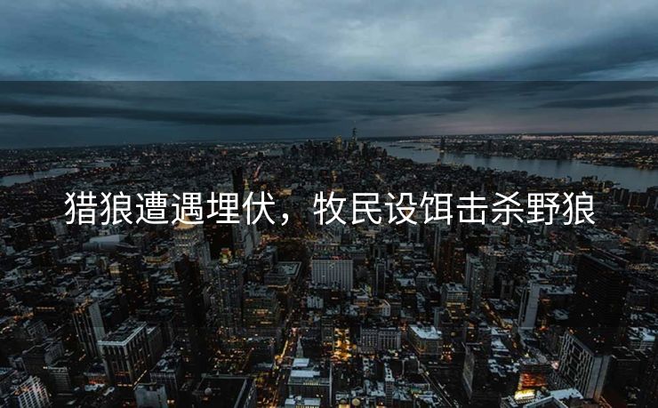 猎狼遭遇埋伏，牧民设饵击杀野狼