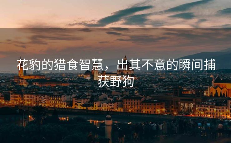 花豹的猎食智慧，出其不意的瞬间捕获野狗