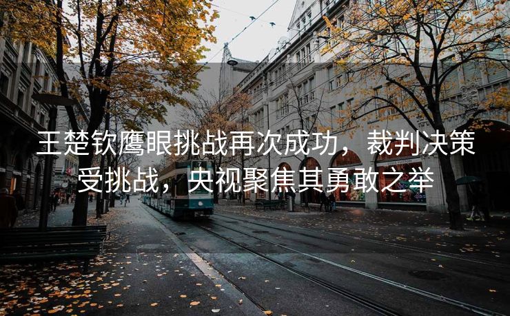 王楚钦鹰眼挑战再次成功，裁判决策受挑战，央视聚焦其勇敢之举