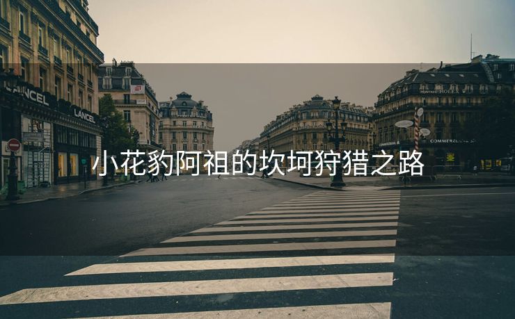 小花豹阿祖的坎坷狩猎之路