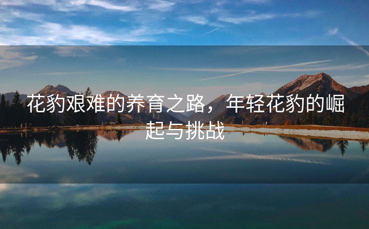 花豹艰难的养育之路，年轻花豹的崛起与挑战