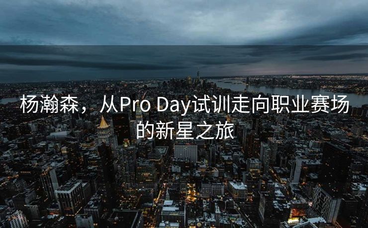 杨瀚森，从Pro Day试训走向职业赛场的新星之旅