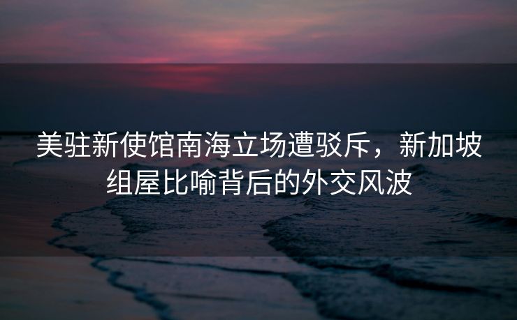 美驻新使馆南海立场遭驳斥，新加坡组屋比喻背后的外交风波