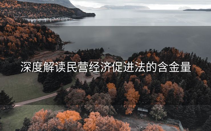 深度解读民营经济促进法的含金量