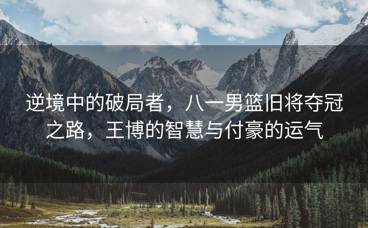 逆境中的破局者，八一男篮旧将夺冠之路，王博的智慧与付豪的运气