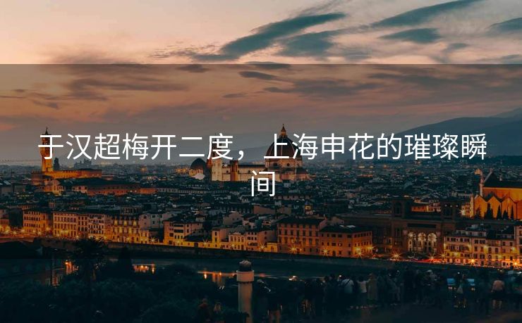于汉超梅开二度，上海申花的璀璨瞬间
