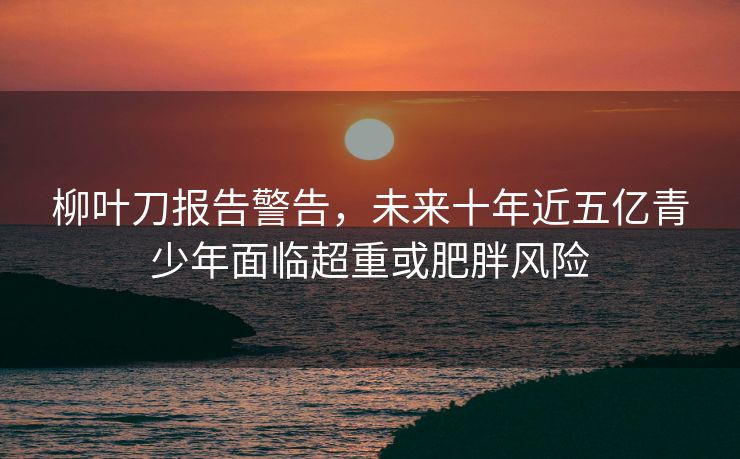 柳叶刀报告警告，未来十年近五亿青少年面临超重或肥胖风险