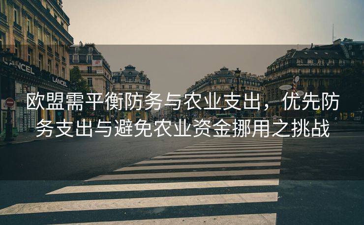 欧盟需平衡防务与农业支出，优先防务支出与避免农业资金挪用之挑战