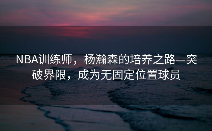 NBA训练师，杨瀚森的培养之路—突破界限，成为无固定位置球员