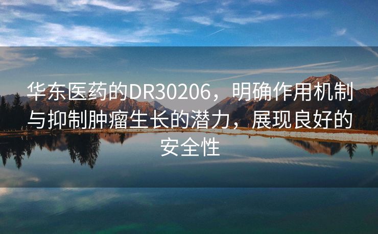 华东医药的DR30206，明确作用机制与抑制肿瘤生长的潜力，展现良好的安全性