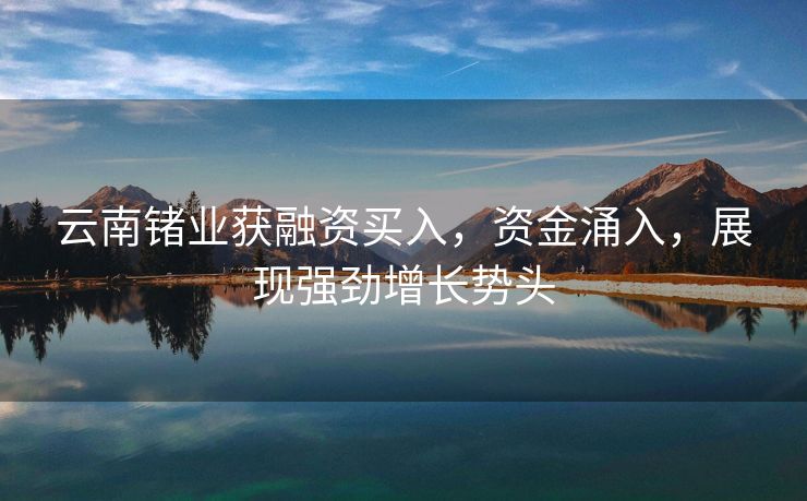 云南锗业获融资买入，资金涌入，展现强劲增长势头