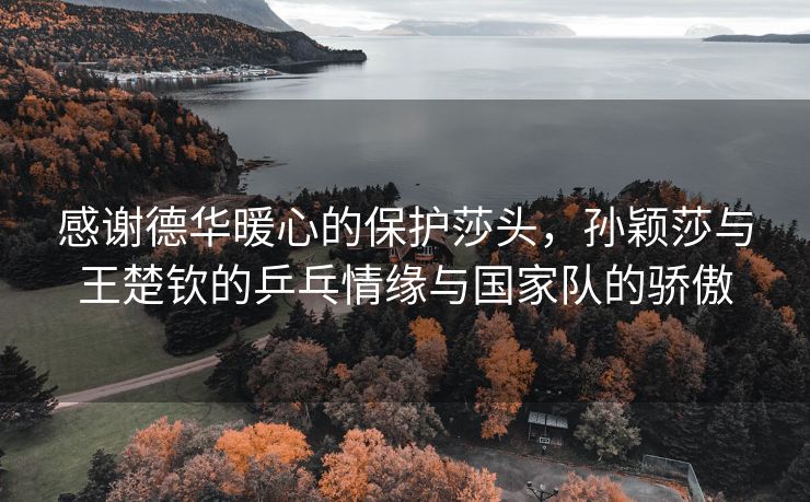 感谢德华暖心的保护莎头，孙颖莎与王楚钦的乒乓情缘与国家队的骄傲