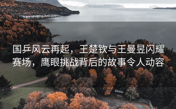国乒风云再起，王楚钦与王曼昱闪耀赛场，鹰眼挑战背后的故事令人动容