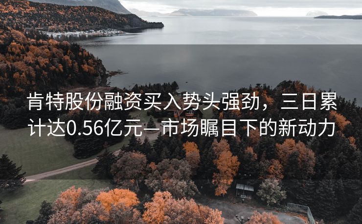 肯特股份融资买入势头强劲，三日累计达0.56亿元—市场瞩目下的新动力