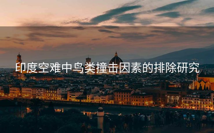 印度空难中鸟类撞击因素的排除研究