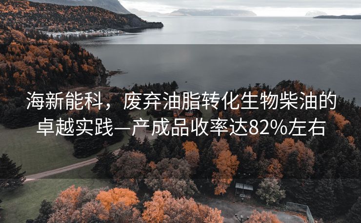 海新能科，废弃油脂转化生物柴油的卓越实践—产成品收率达82%左右