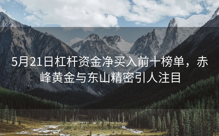5月21日杠杆资金净买入前十榜单，赤峰黄金与东山精密引人注目