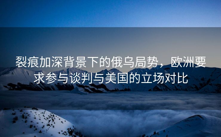 裂痕加深背景下的俄乌局势，欧洲要求参与谈判与美国的立场对比