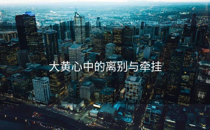 大黄心中的离别与牵挂