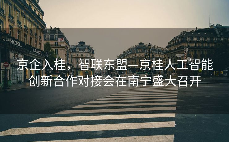 京企入桂，智联东盟—京桂人工智能创新合作对接会在南宁盛大召开