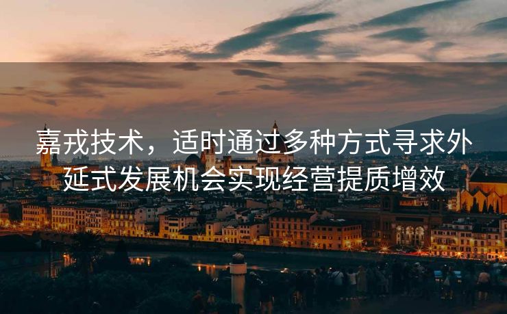 嘉戎技术，适时通过多种方式寻求外延式发展机会实现经营提质增效