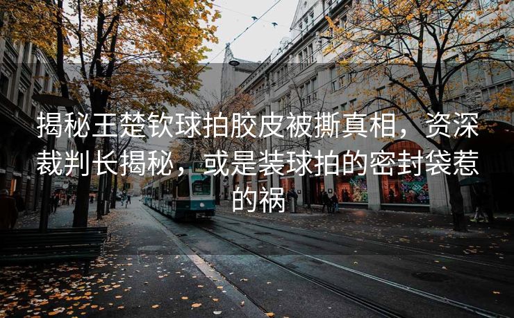 揭秘王楚钦球拍胶皮被撕真相，资深裁判长揭秘，或是装球拍的密封袋惹的祸