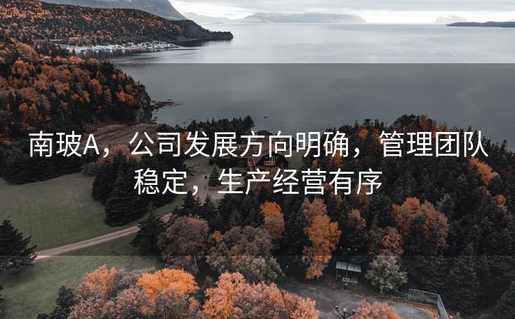 南玻A，公司发展方向明确，管理团队稳定，生产经营有序