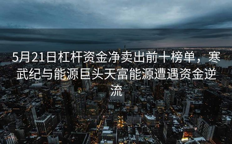 5月21日杠杆资金净卖出前十榜单，寒武纪与能源巨头天富能源遭遇资金逆流