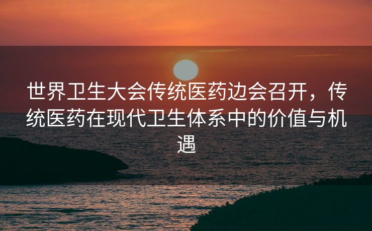 世界卫生大会传统医药边会召开，传统医药在现代卫生体系中的价值与机遇