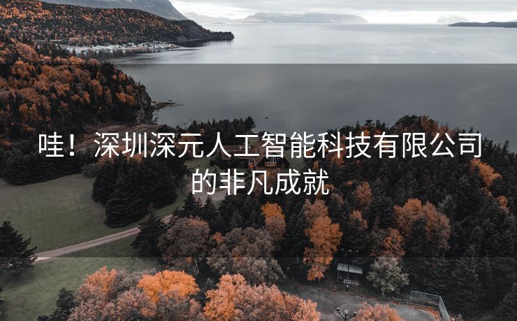 哇！深圳深元人工智能科技有限公司的非凡成就