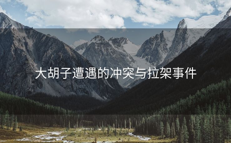 大胡子遭遇的冲突与拉架事件