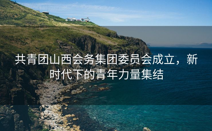 共青团山西会务集团委员会成立，新时代下的青年力量集结
