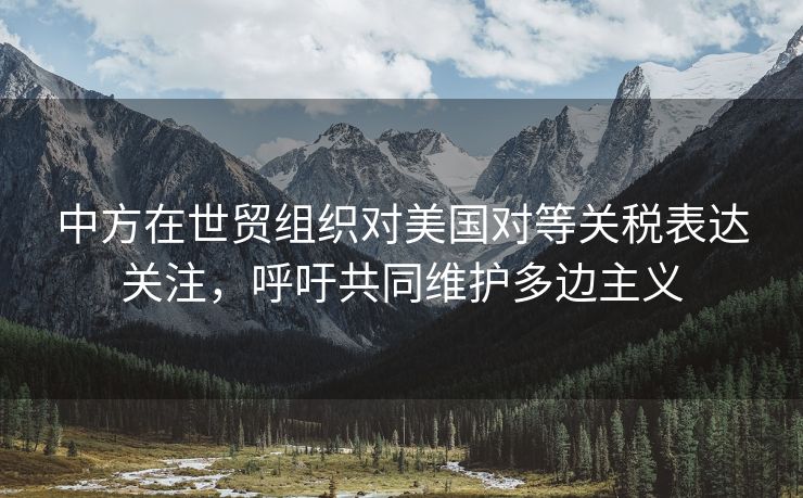中方在世贸组织对美国对等关税表达关注，呼吁共同维护多边主义