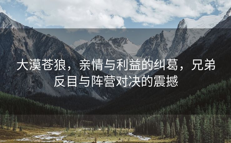 大漠苍狼，亲情与利益的纠葛，兄弟反目与阵营对决的震撼