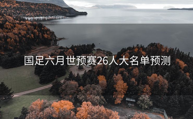 国足六月世预赛26人大名单预测