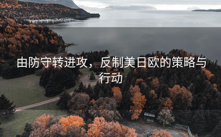由防守转进攻，反制美日欧的策略与行动