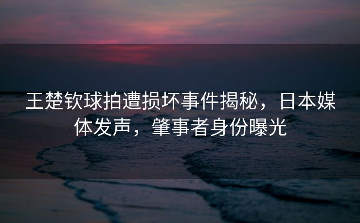 王楚钦球拍遭损坏事件揭秘，日本媒体发声，肇事者身份曝光