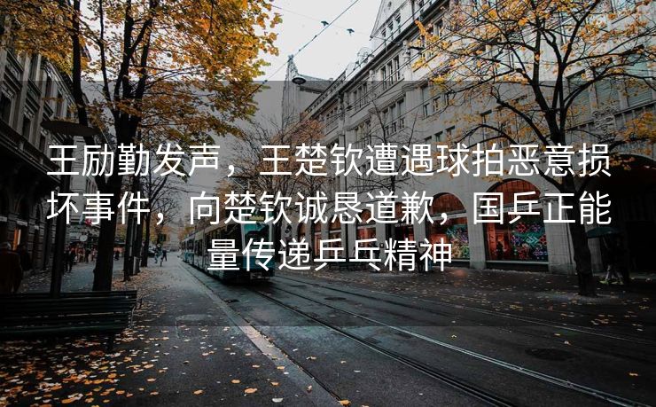 王励勤发声，王楚钦遭遇球拍恶意损坏事件，向楚钦诚恳道歉，国乒正能量传递乒乓精神