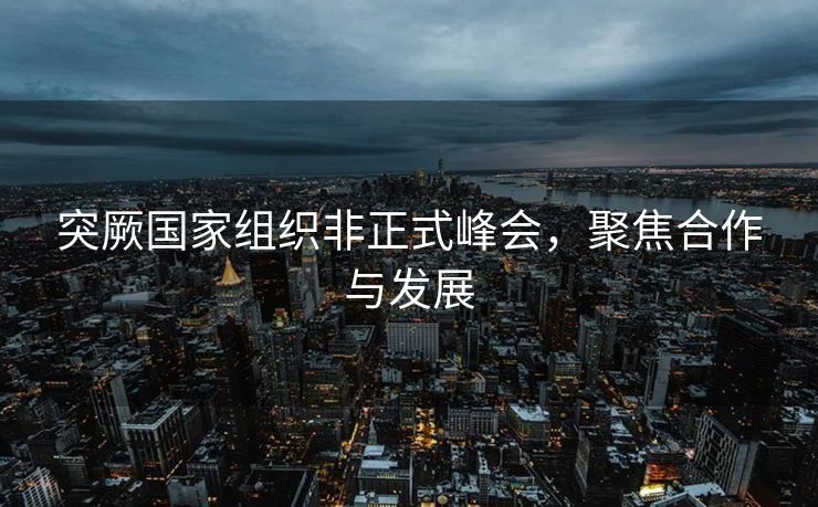 突厥国家组织非正式峰会，聚焦合作与发展