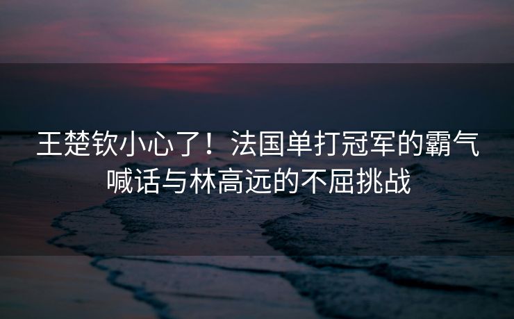 王楚钦小心了！法国单打冠军的霸气喊话与林高远的不屈挑战