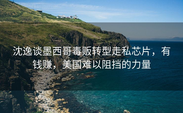 沈逸谈墨西哥毒贩转型走私芯片，有钱赚，美国难以阻挡的力量