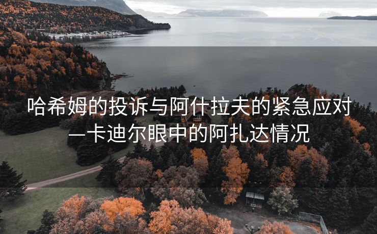 哈希姆的投诉与阿什拉夫的紧急应对—卡迪尔眼中的阿扎达情况