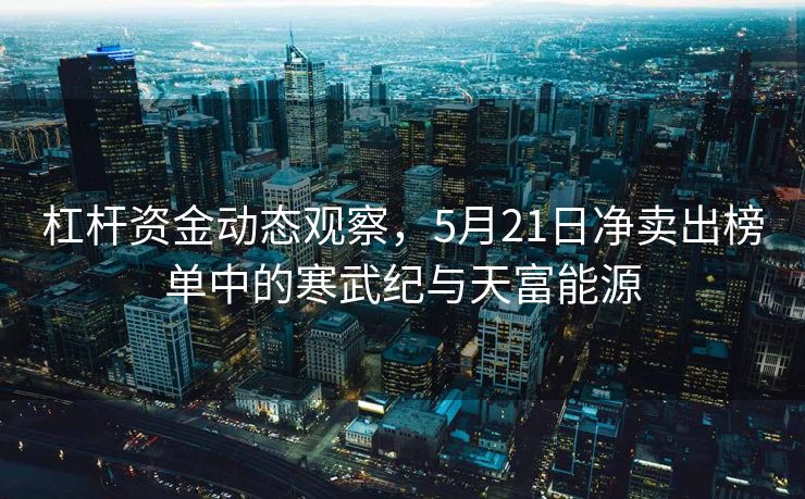 杠杆资金动态观察，5月21日净卖出榜单中的寒武纪与天富能源