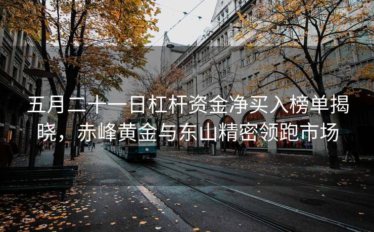 五月二十一日杠杆资金净买入榜单揭晓，赤峰黄金与东山精密领跑市场